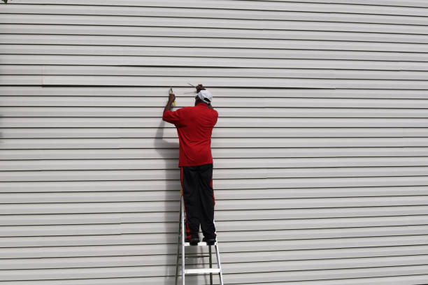 Best Fascia and Soffit Installation  in Brundidge, AL